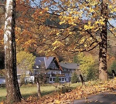 Tommes Gaestehaus Zur Muehle 슈말렌부르크