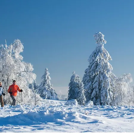 تومس غيستهاوس تسور موهل بيت ضيافة
