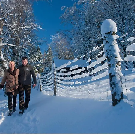 Tommes Zur Mühle 3*