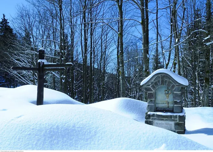 تومس غيستهاوس تسور موهل بيت ضيافة 3*