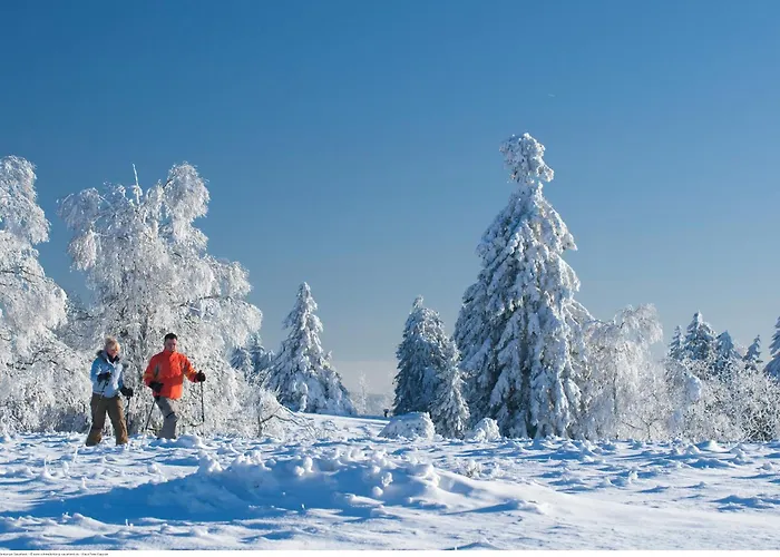 Tommes Zur Mühle Gasthof