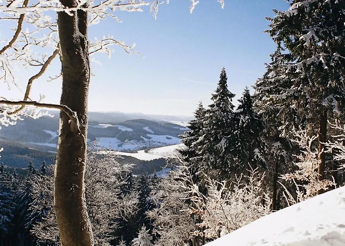 بيت ضيافة تومس غيستهاوس تسور موهل 3*