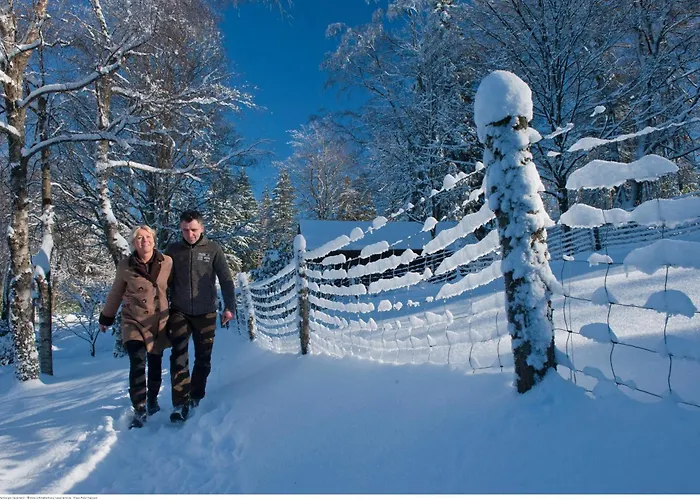 تومس غيستهاوس تسور موهل 3*